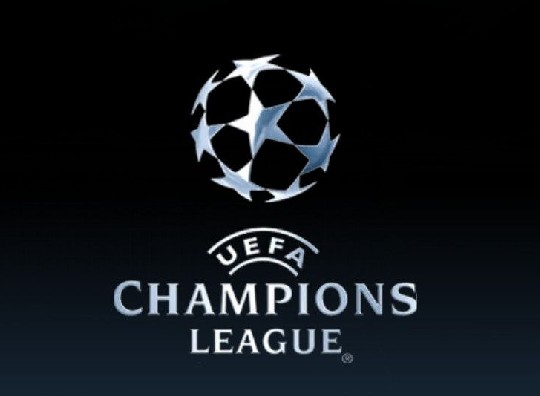 种讨论会引 种讨论会引