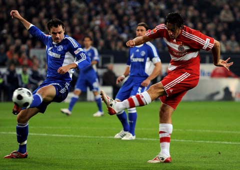 将大量珍贵 将大量珍贵